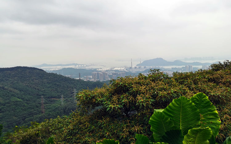 激揚(yáng)青春、奮勇攀登登山活動